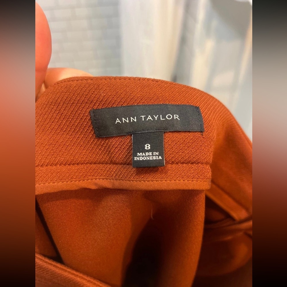 Ann Taylor Stretchy Rust Pocket Skirt Size 8 - Picture 4 of 9